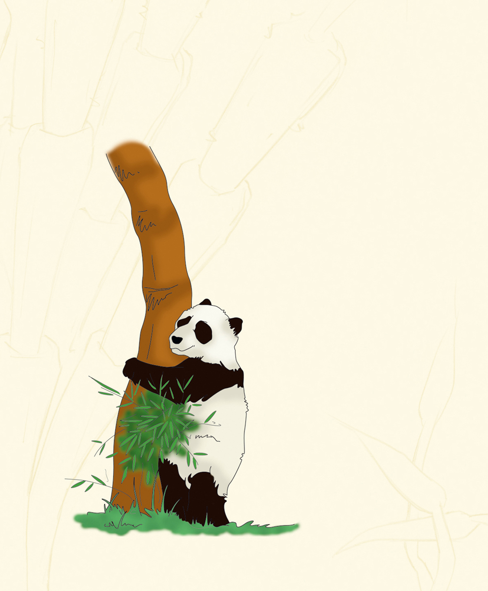 pandols